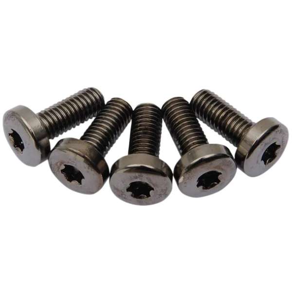 Achterremschijf bouten set Harley Davidson
